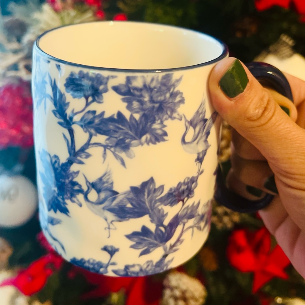 Farmhouse mug NWT